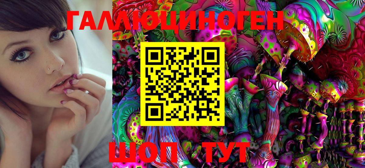 Кингисепп  Галлюциногенные грибы Psilocybe  Вход с VPN 