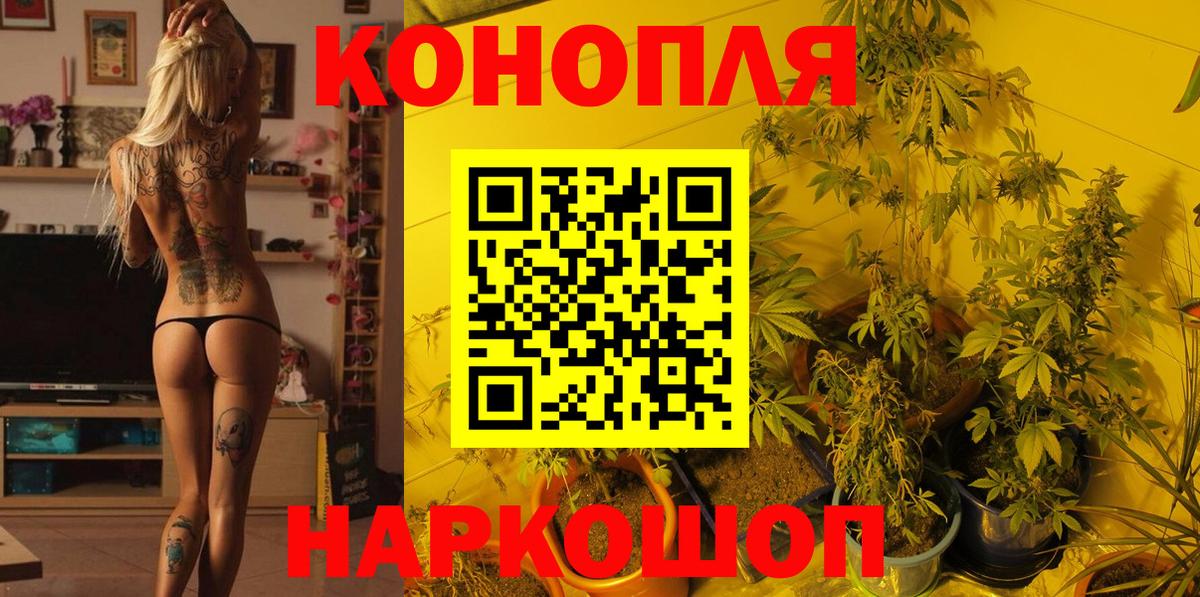 Каннабис тримм Кингисепп